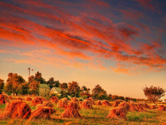 AMISH HARVEST TYPE *NEW FALL SCENTS*