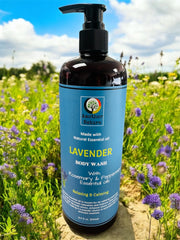 Lavender - Body Wash Infuse with Rosemary & Peppermint Essential oil - 16oz