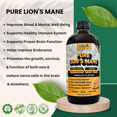 PURE LION'S MANE - 16oz
