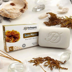 SEAMOSS SOAP 5oz SOAP (HERBOGANIC)