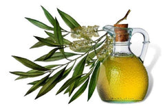 TEA TREE ESSENTIAL OIL