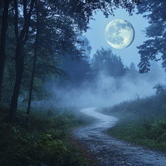 MOONLIGHT PATH TYPE