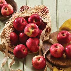 MACINTOSH APPLE TYPE