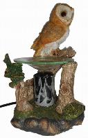 DP160 OWL