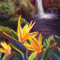 HAWAIIAN PARADISE TYPE