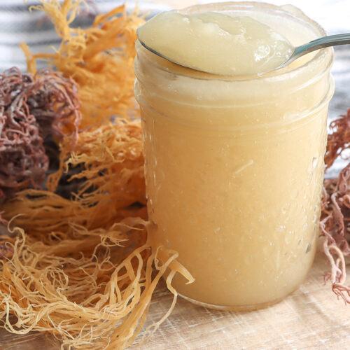 SEA MOSS